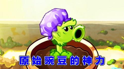 娱乐吃瓜酱豌豆射手,娱乐吃瓜界的“植物大战僵尸”传奇