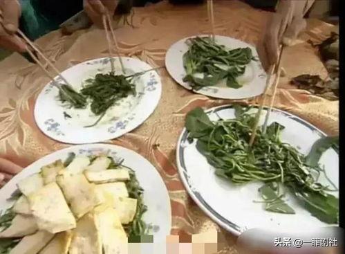 吃瓜娱乐饭,揭秘娱乐圈背后的故事与幕后花絮