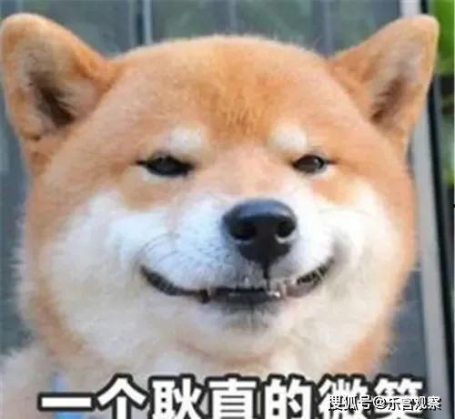 带你吃瓜的娱乐设施,揭秘新型娱乐设施的魅力所在