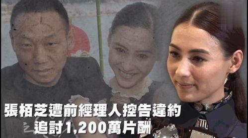 娱乐吃瓜为什么火爆,揭秘网络狂欢背后的社会现象