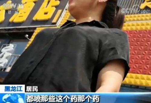娱乐吃瓜速递,吃瓜速递，揭秘明星幕后故事