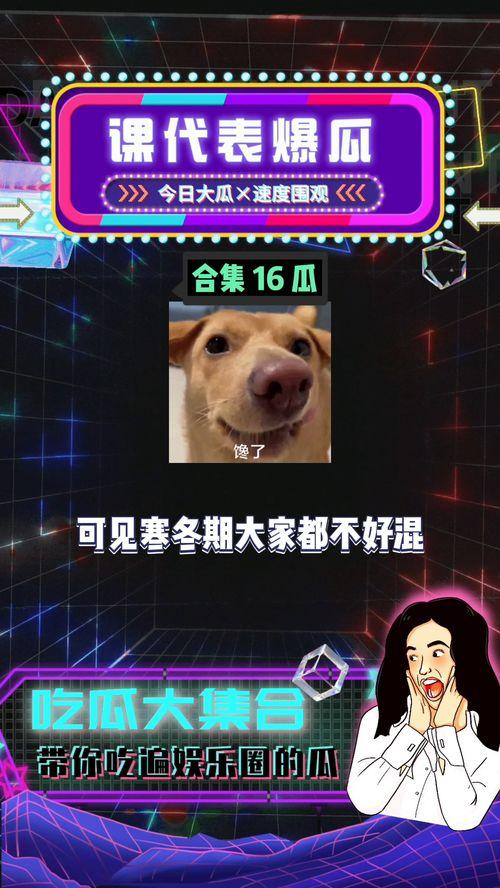 娱乐吃瓜区,揭秘明星幕后故事与精彩瞬间