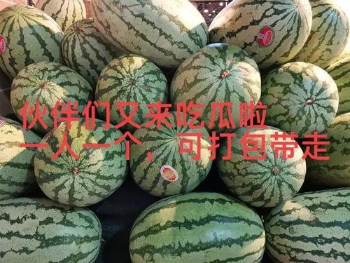 吃瓜星娱乐爆大瓜,揭秘娱乐圈惊人内幕