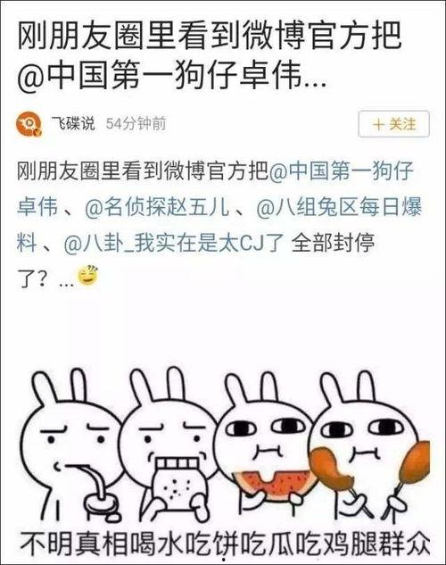 娱乐吃瓜单词有哪些,热门词汇大揭秘