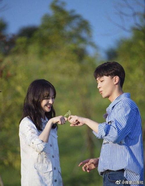 real娱乐吃瓜,一场明星八卦的狂欢盛宴